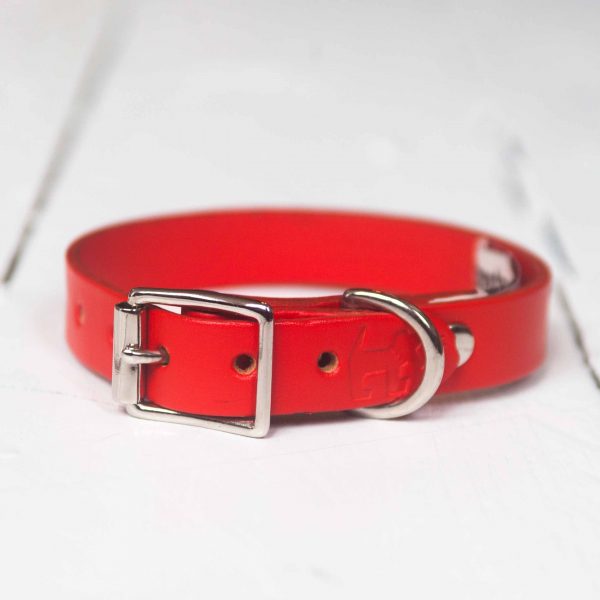 Personalised red leather dog collar